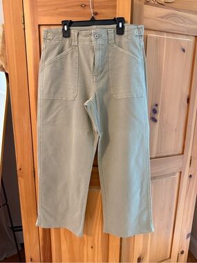 American Eagle Stretch Pants in Sage Green